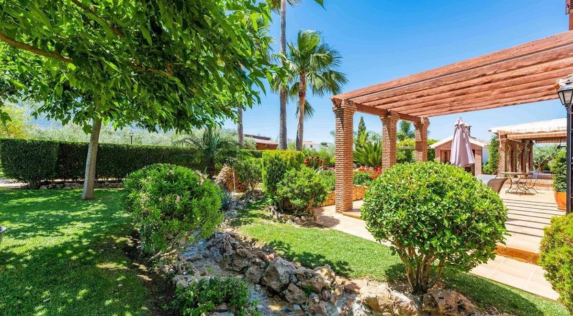 Photo of Night Jasmine