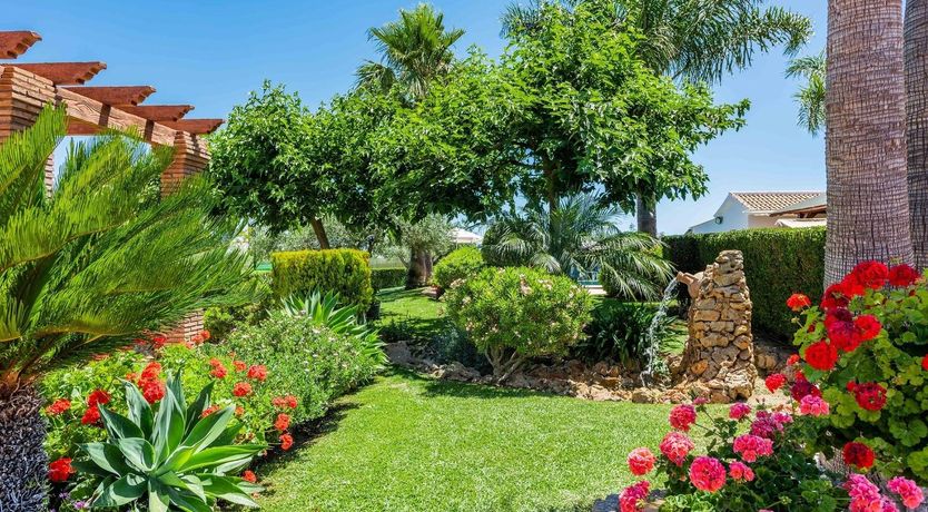 Photo of Night Jasmine