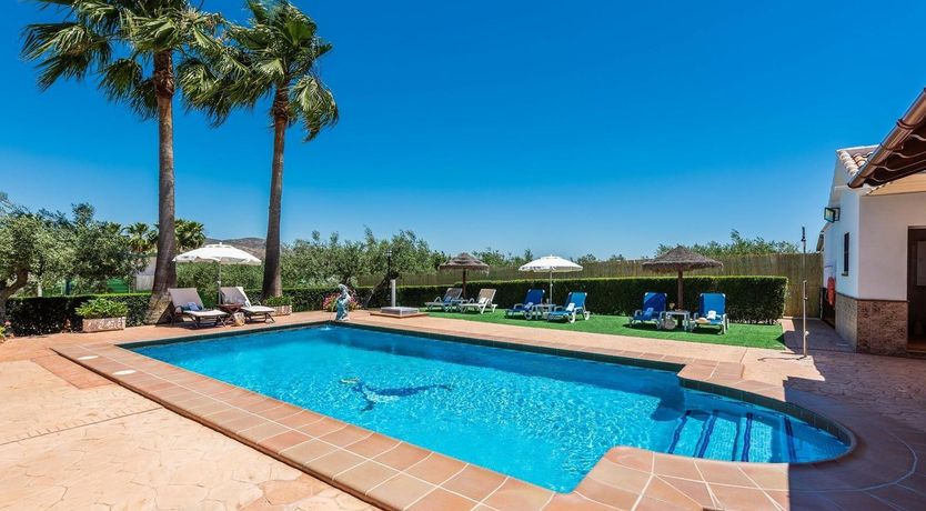 Photo of Night Jasmine