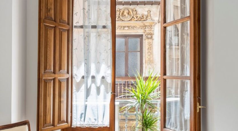 Photo of Bulls on Parade