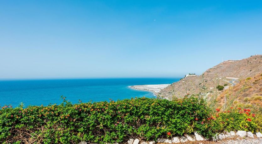 Photo of White & Blue