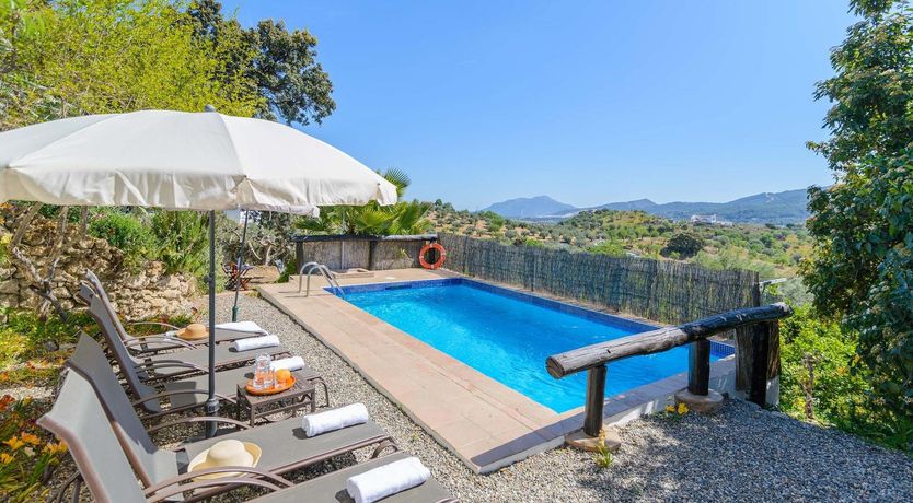 Photo of Amongst the Fruit Trees