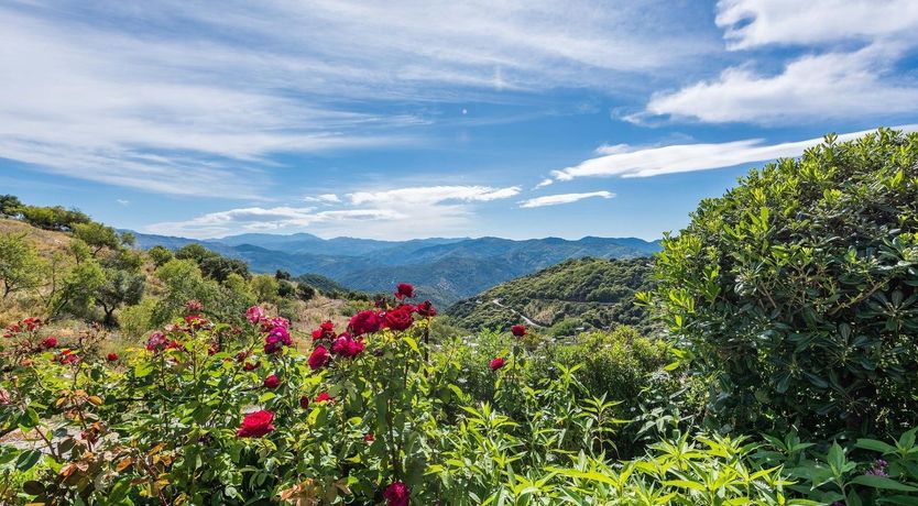 Photo of Mountain Sunbeams
