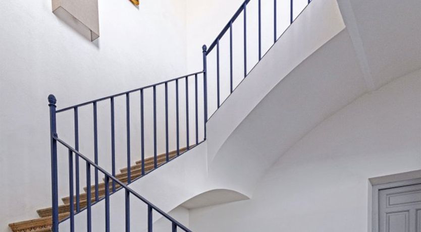 Photo of Seville Orange