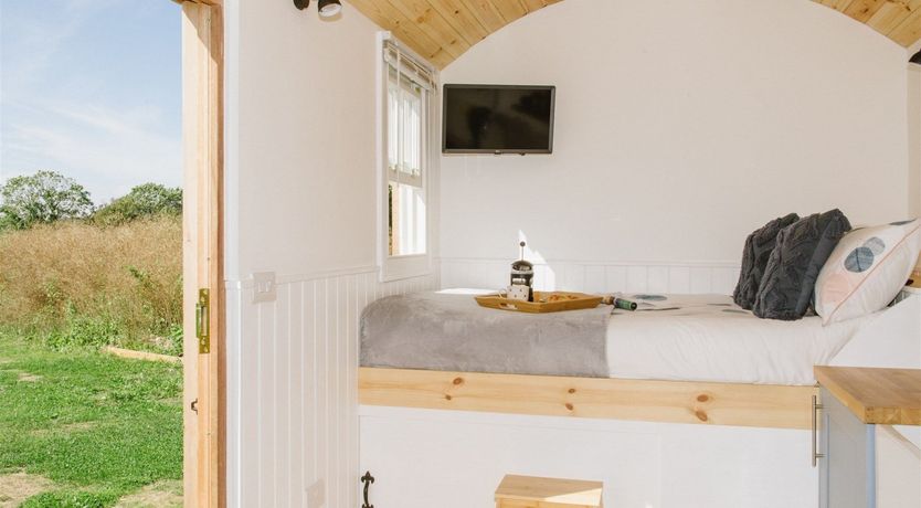 Photo of Endless Green