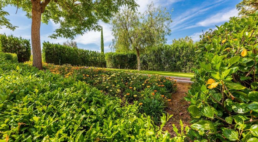 Photo of Into Happiness