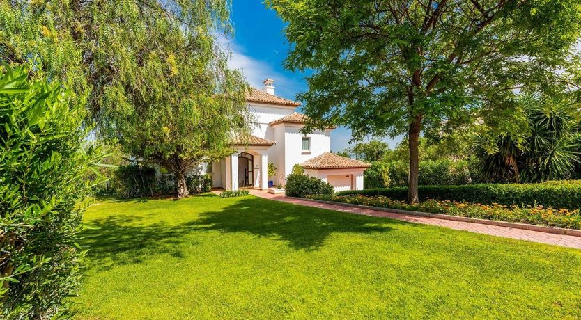 Photo of Into Happiness