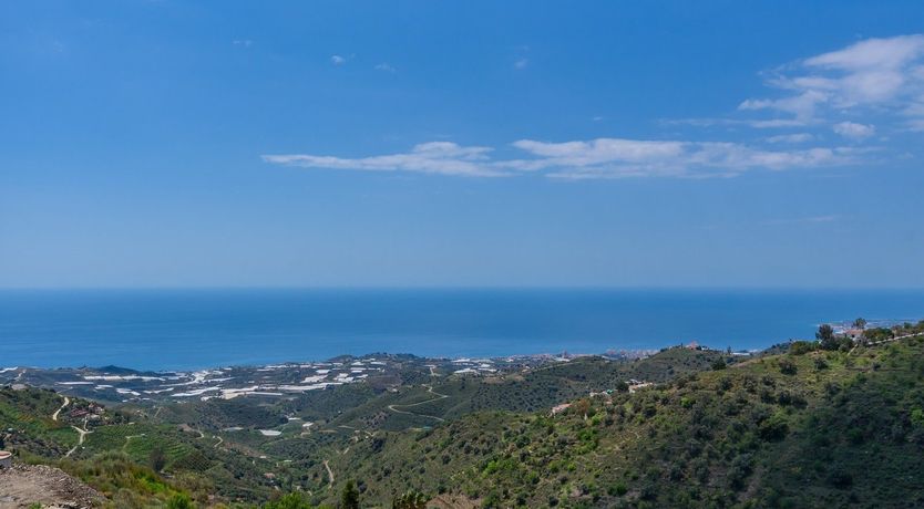 Photo of Wicker Dream