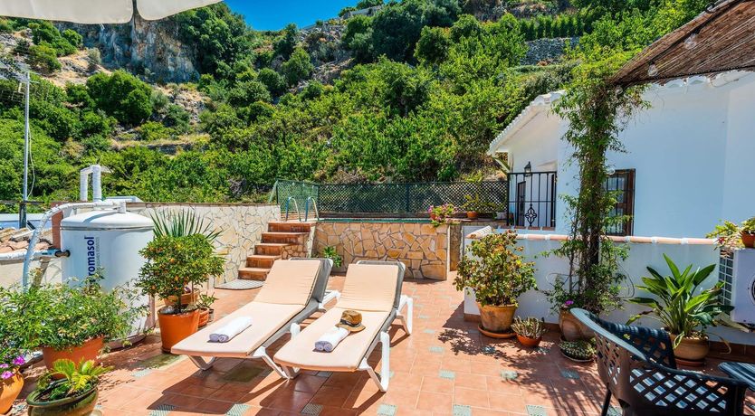 Photo of Between the Forests