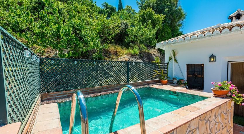 Photo of Between the Forests