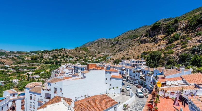 Photo of Between the Forests