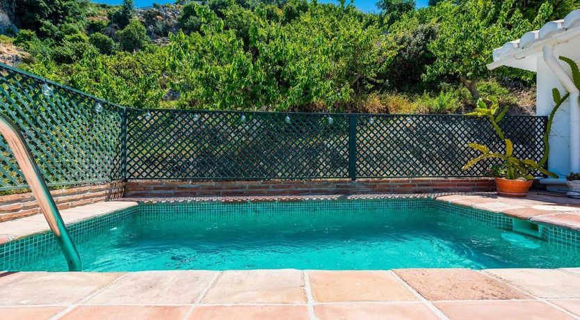 Photo of Between the Forests