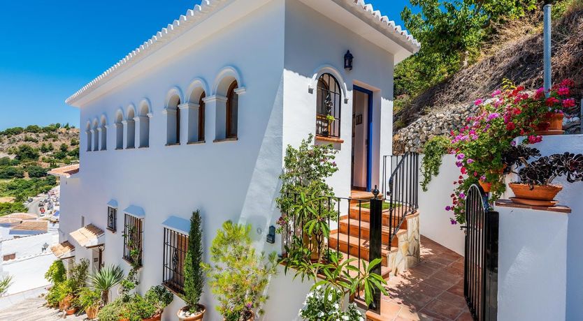 Photo of Between the Forests