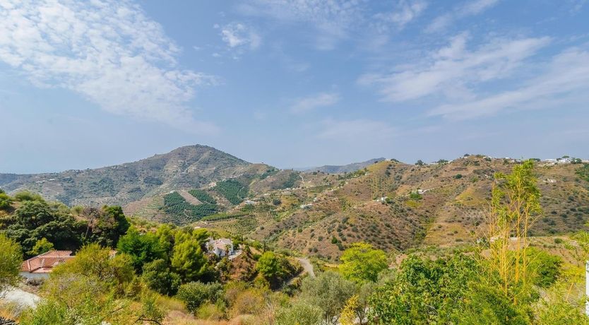 Photo of Tropical Wanderlust