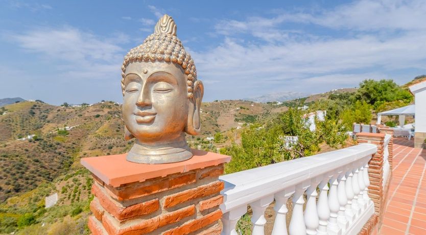 Photo of Tropical Wanderlust