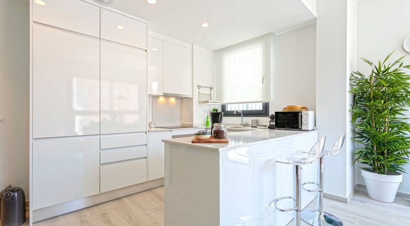 Photo of Jewelled Palms