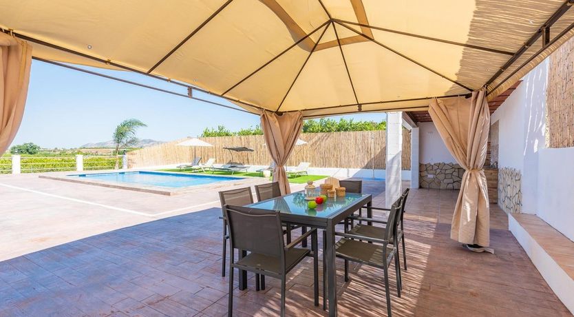 Photo of Nature's Pace