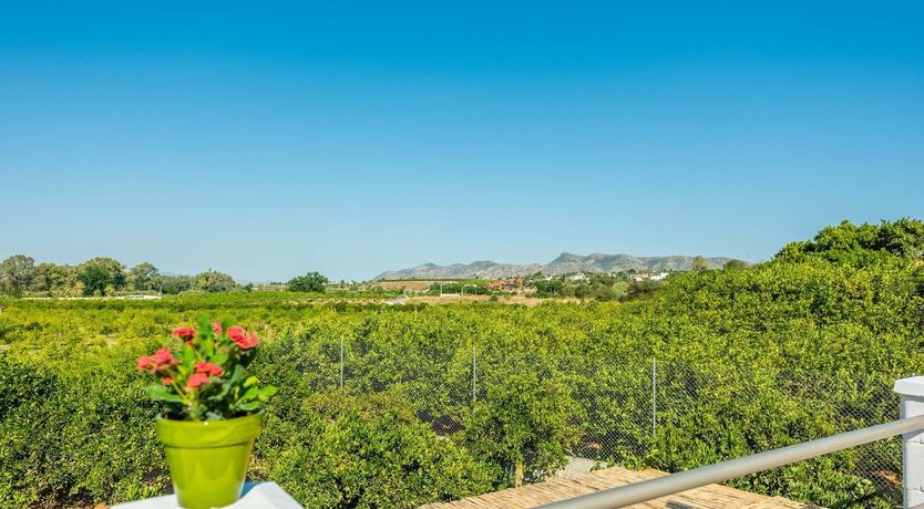 Photo of Nature's Pace