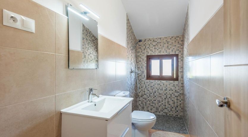 Photo of Nature's Pace