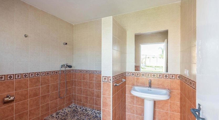 Photo of Nature's Pace