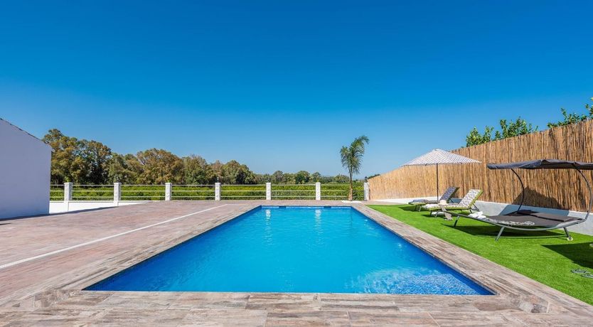 Photo of Nature's Pace