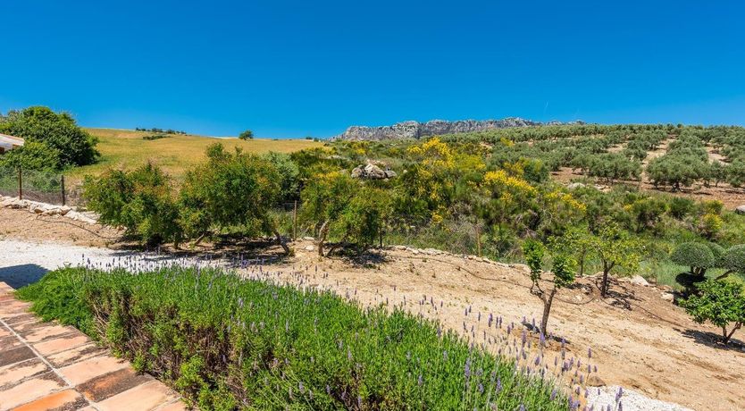 Photo of Silently for Me