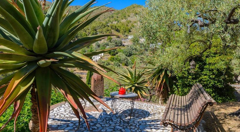 Photo of The Summer of June