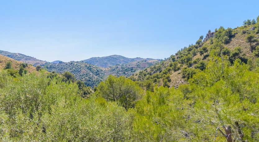 Photo of The Summer of June