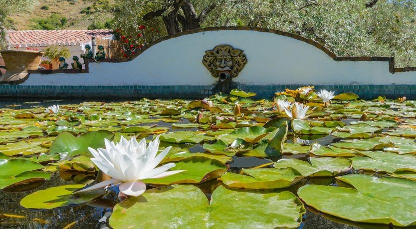 Photo of The Summer of June