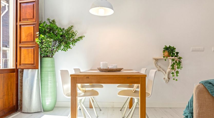 Photo of Moonlight & Orchards