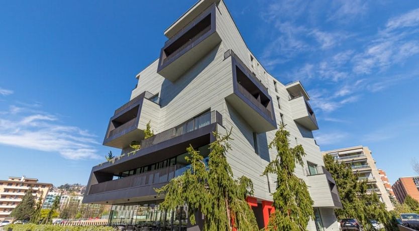 Photo of Mountain Dancer