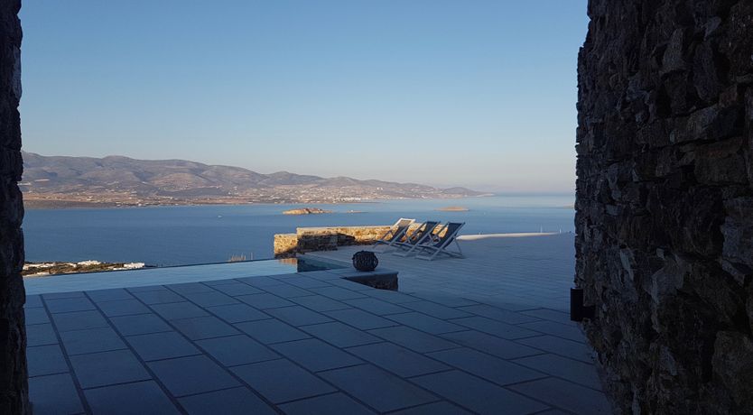 Photo of Blue Campanula