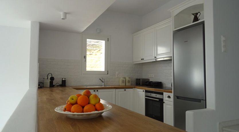 Photo of Blue Campanula