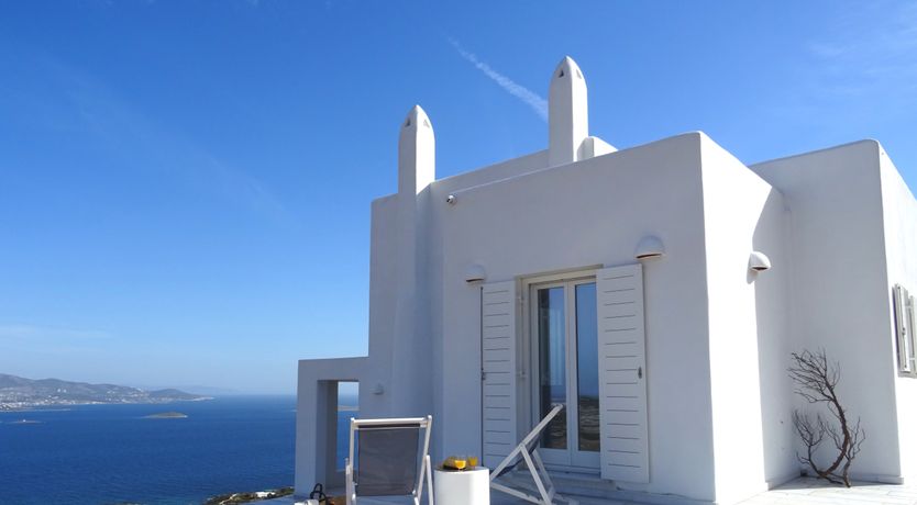 Photo of Blue Campanula