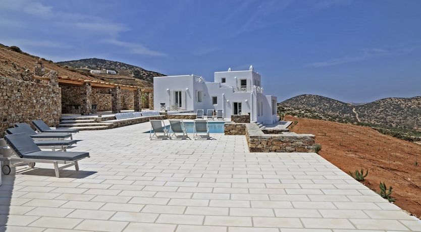 Photo of Blue Campanula