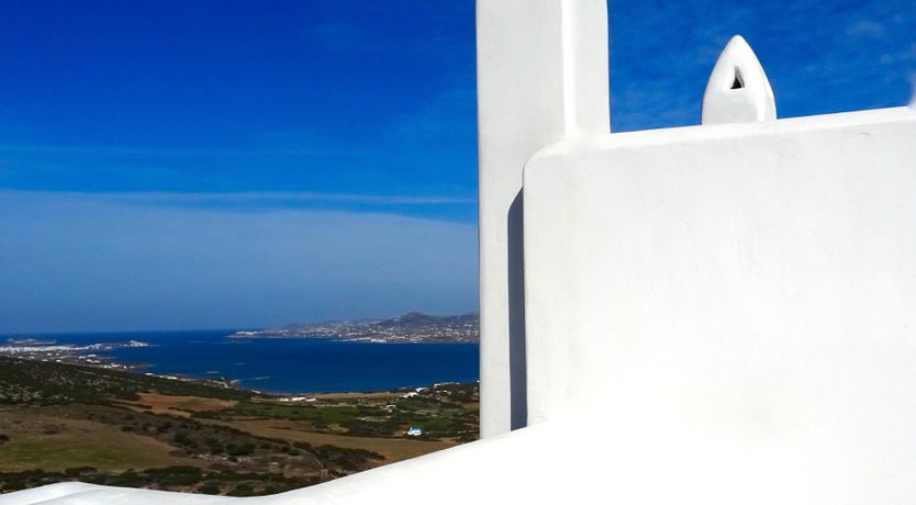 Photo of Blue Campanula