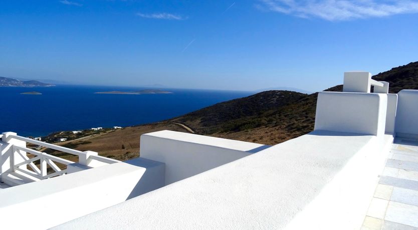 Photo of Blue Campanula