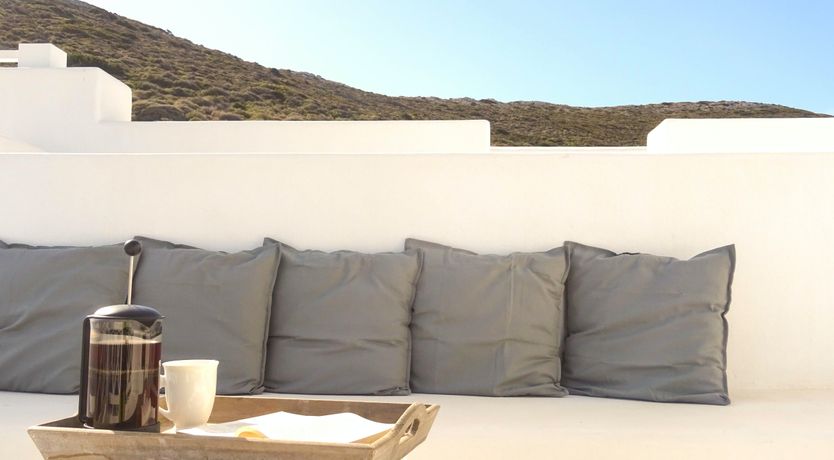 Photo of Blue Campanula