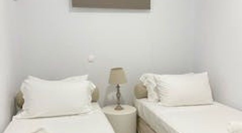 Photo of Blue Campanula