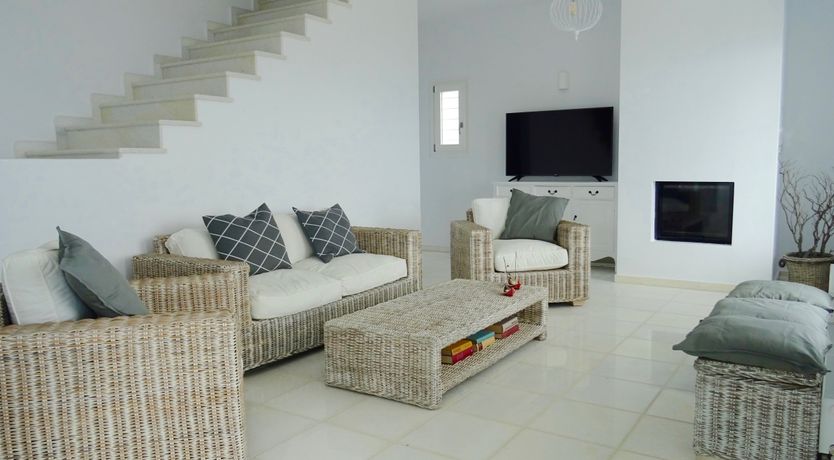 Photo of Blue Campanula