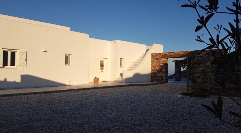 Photo of Blue Campanula