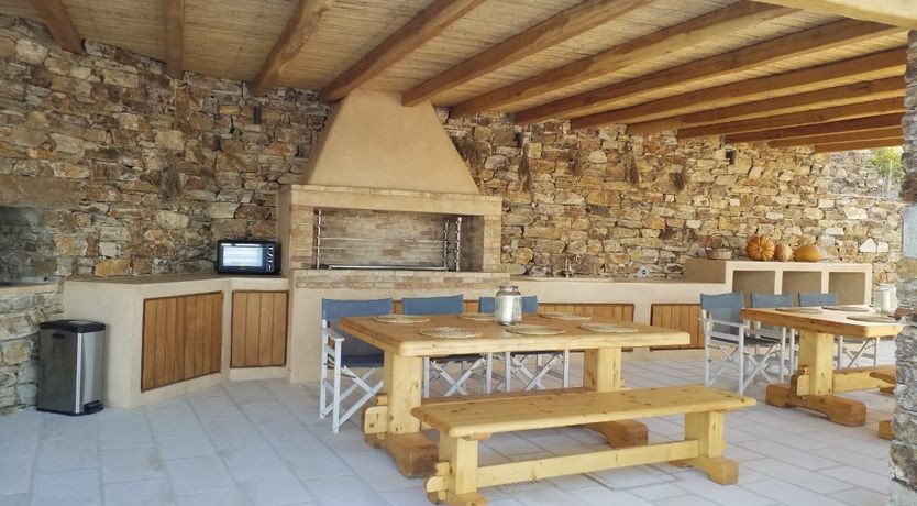 Photo of Blue Campanula