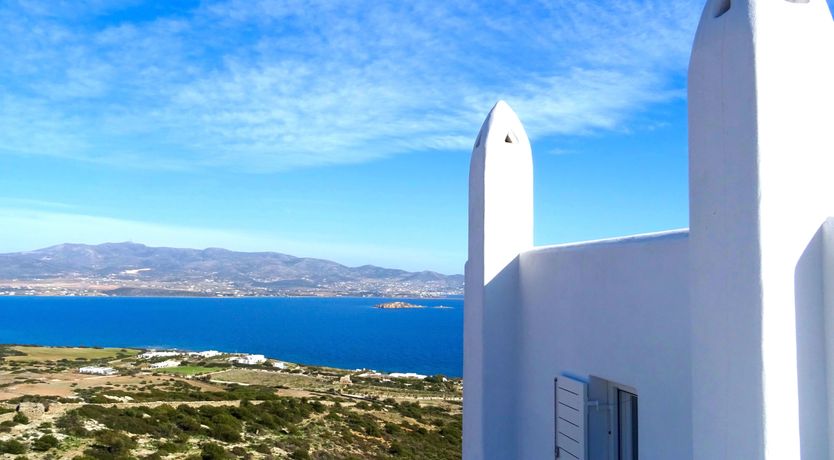 Photo of Blue Campanula