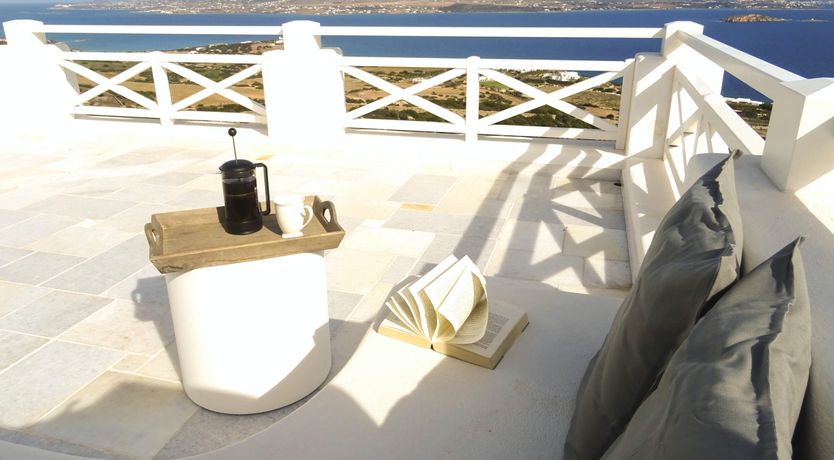 Photo of Blue Campanula