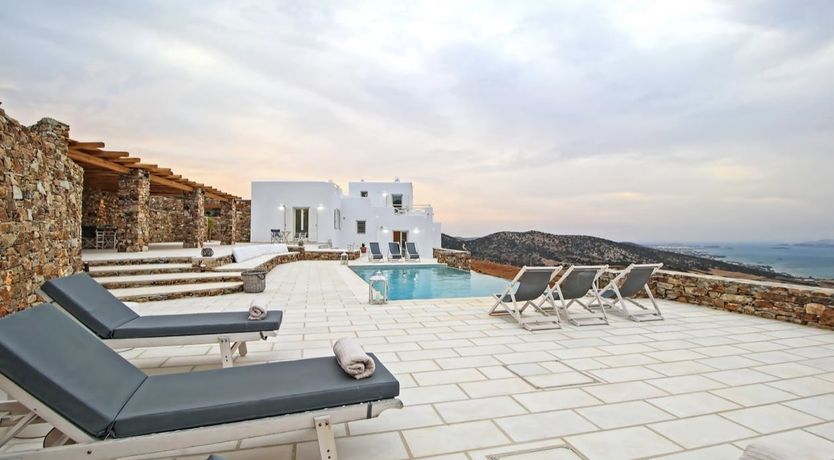 Photo of Blue Campanula