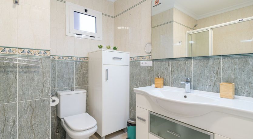 Photo of Ice Cream by the Palm Trees