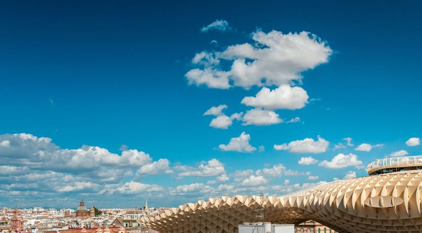 Photo of Mushroom Surprise