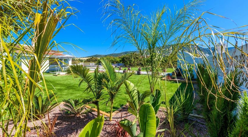 Photo of Green Horizons