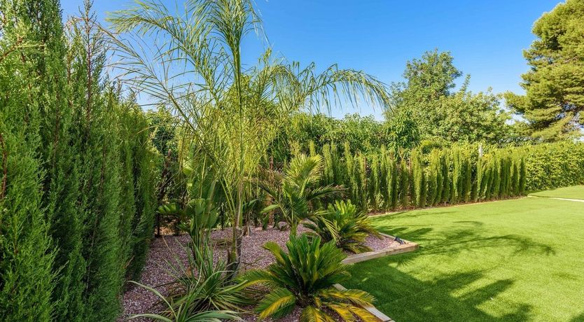 Photo of Green Horizons