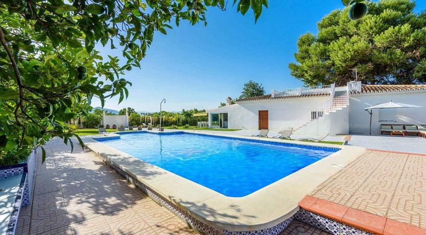 Photo of Green Horizons